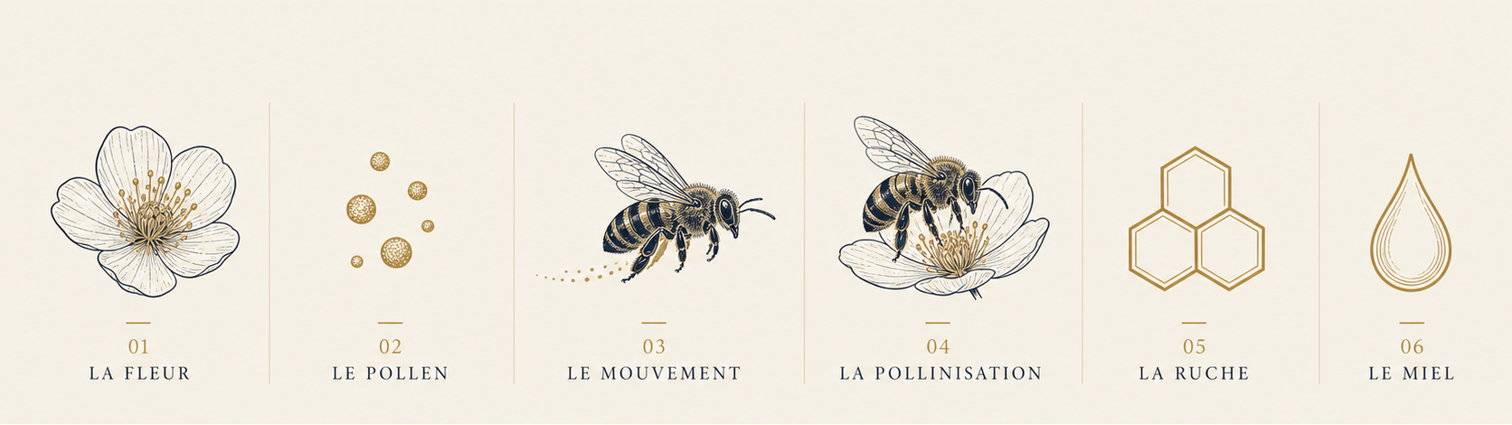 Les six mouvements du Référentiel des Possibles, de la fleur au miel